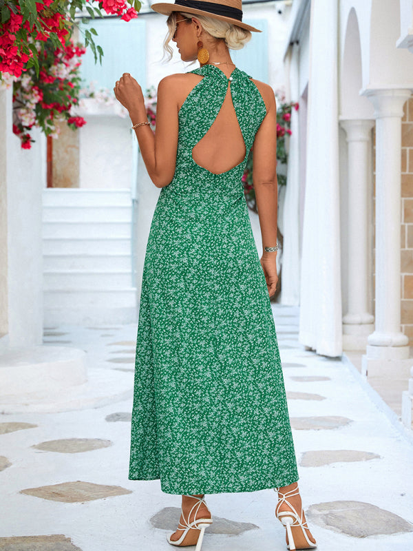 Floral Print Maxi Dress with V-Neck Halter Design Maxi Dresses MyDresses 